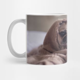 pug in a blanket Mug